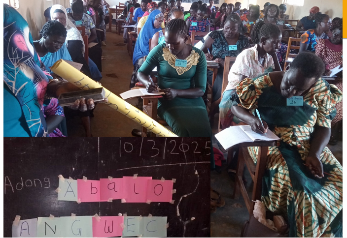 Functional Adult Literacy (FAL)